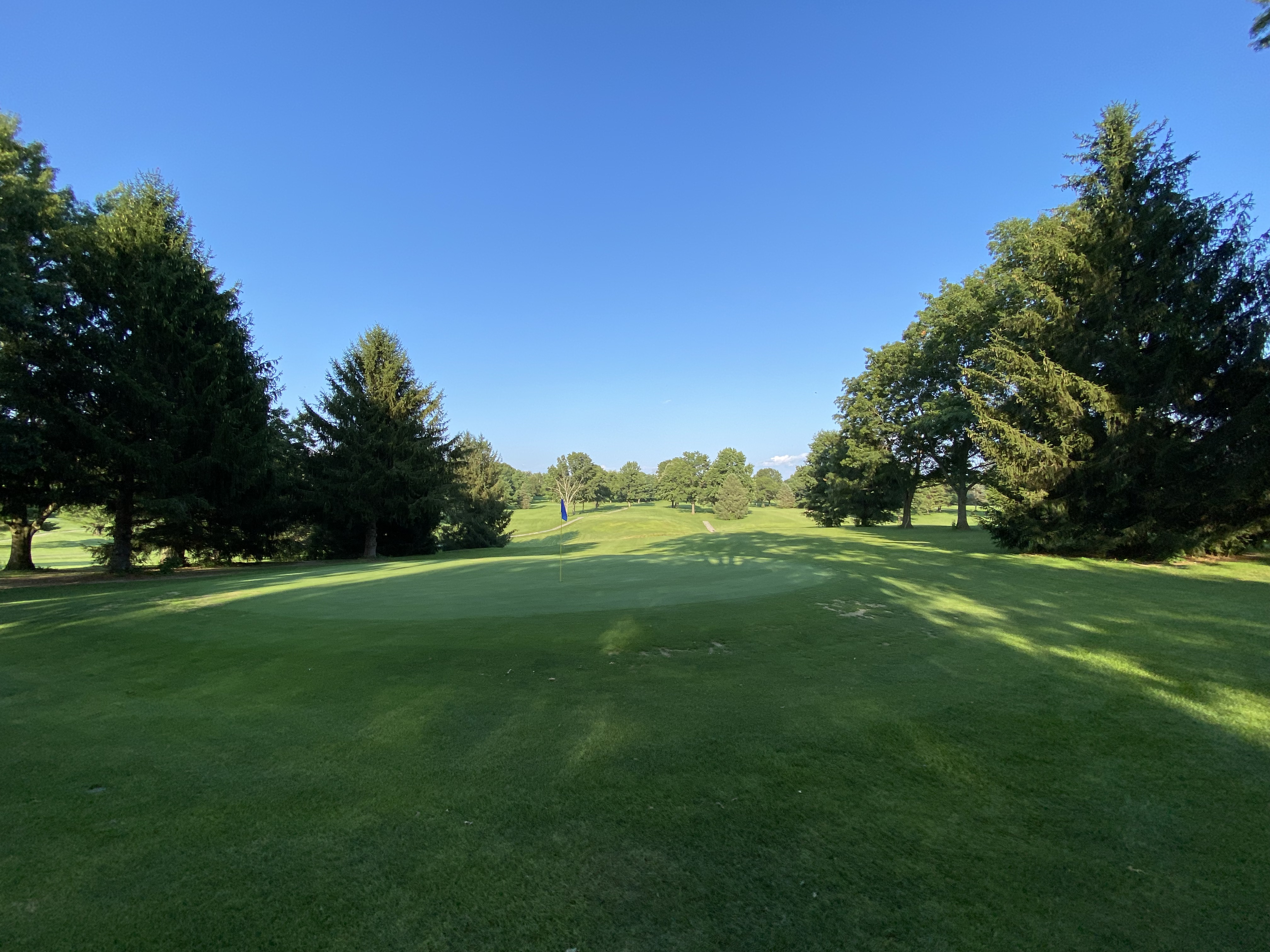 view of golf course green